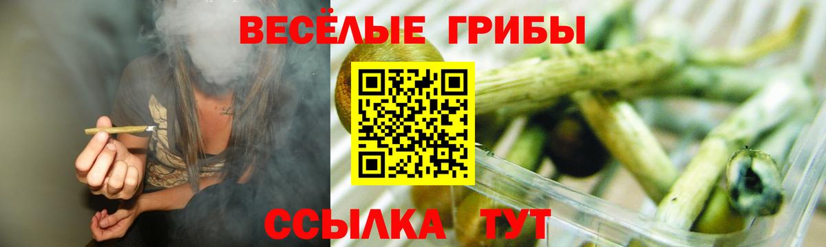 Галлюциногенные грибы Psilocybine cubensis Ишим
